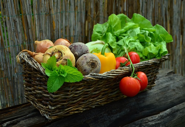 Agricoltura biologica e filiera corta Ortaggi bio Fattoria Donna Tina